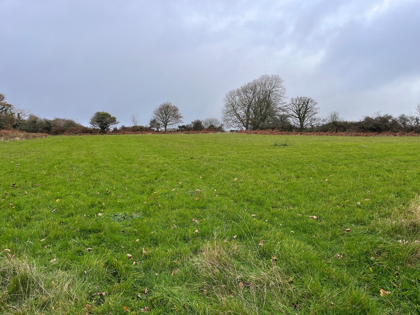 You are currently viewing 19.675 ACRES OF LAND FOR GRAZING – AVAILABLE ON A FARM BUSINESS TENANCY