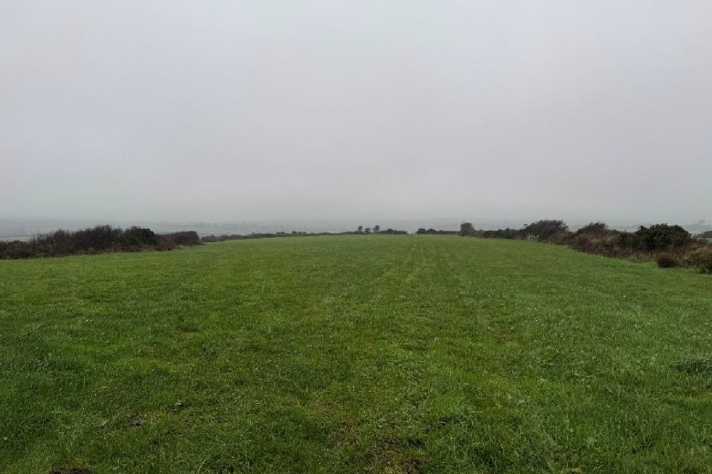 Read more about the article 124.32 acres of Winter Sheep Keep to let