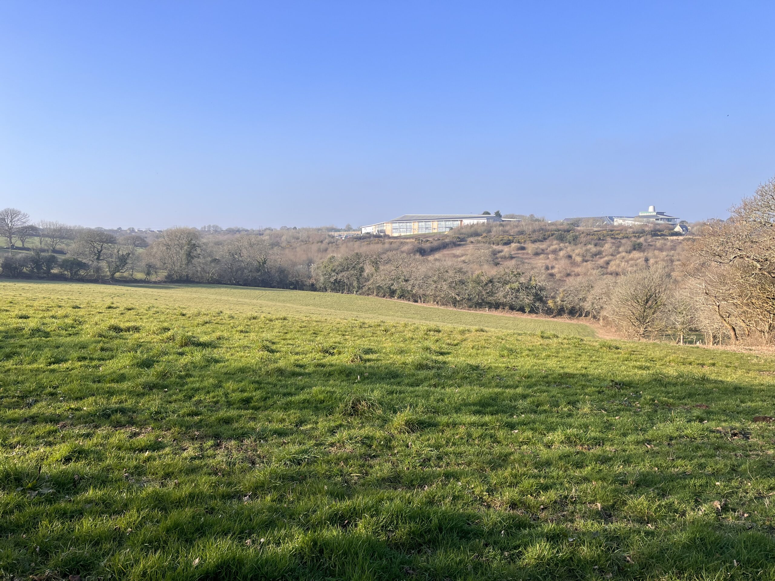 You are currently viewing 25.57 ACRES OF GRASS FOR MOWING ONLY – AVAILABLE ON A LICENCE FOR MOWING