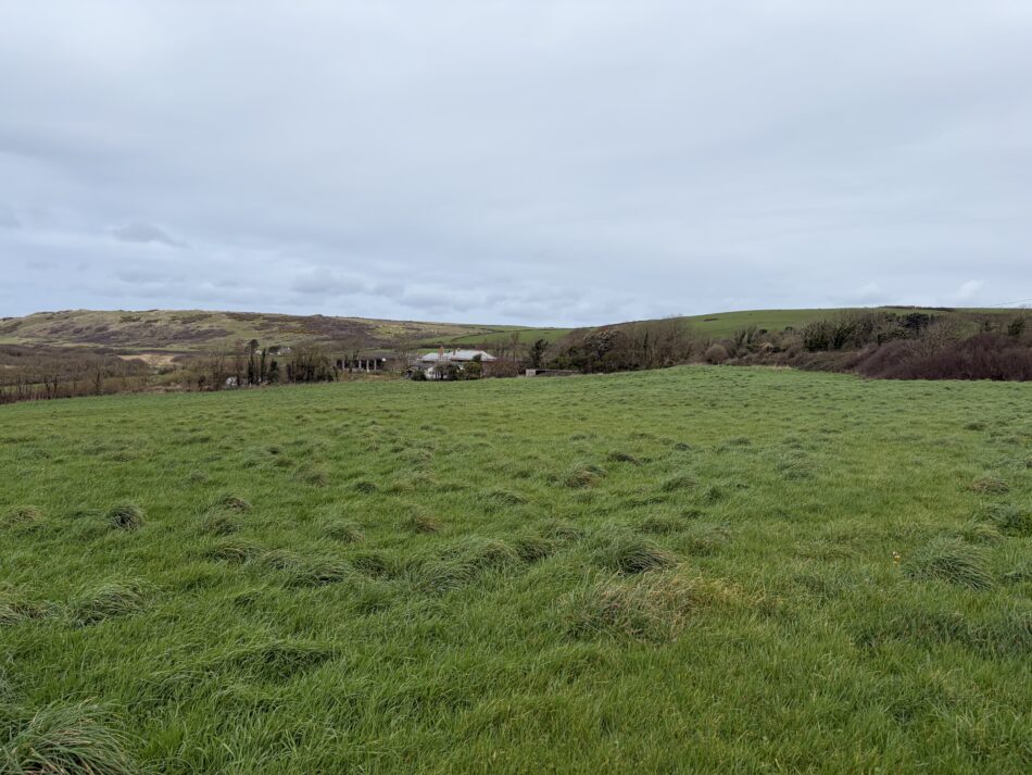 Read more about the article 12.01 ACRES OF GRASS FOR MOWING ONLY – AVAILABLE ON A LICENCE FOR MOWING