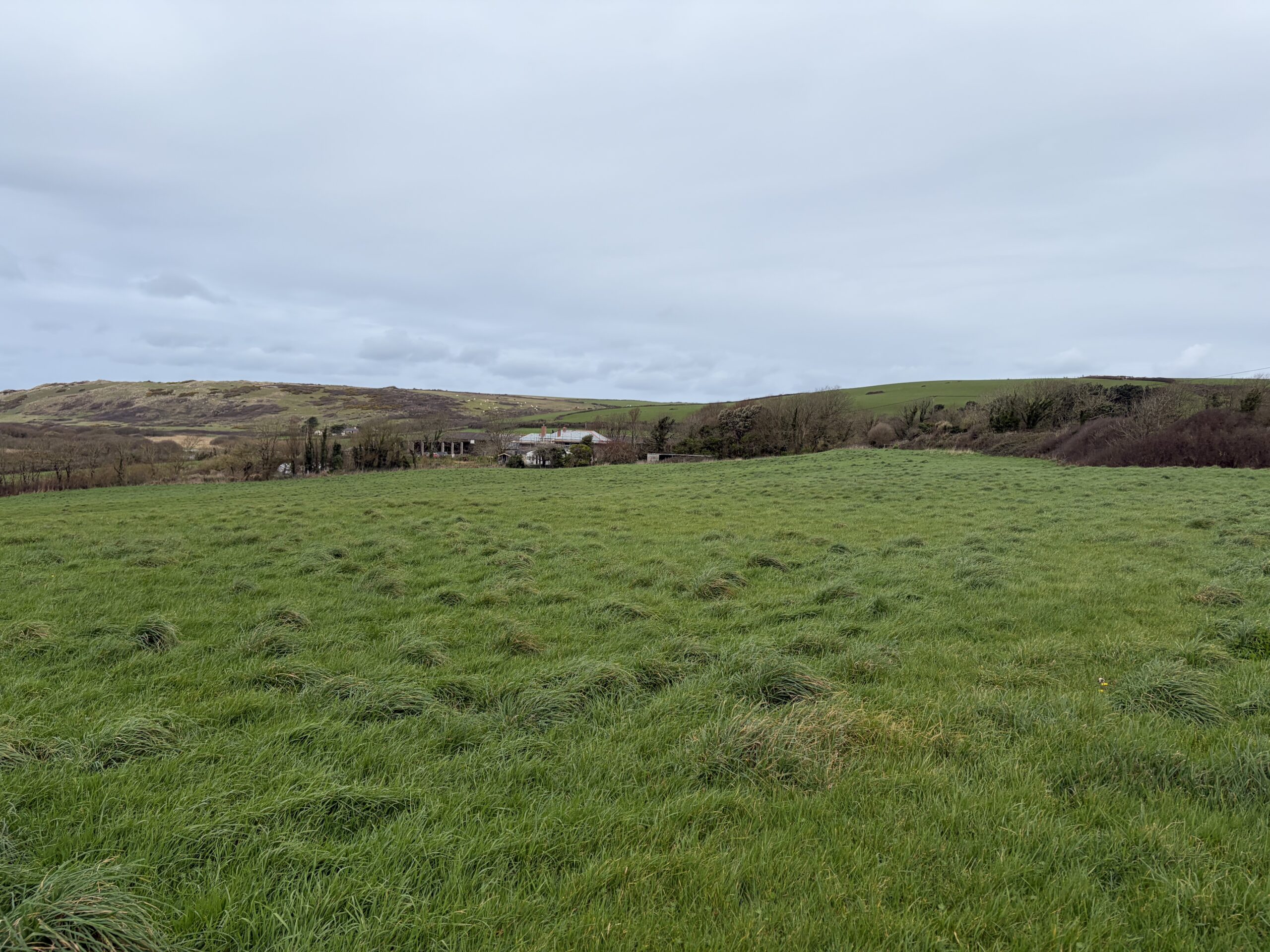 You are currently viewing 12.01 ACRES OF GRASS FOR MOWING ONLY – AVAILABLE ON A LICENCE FOR MOWING